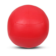 8kg Wall Ball